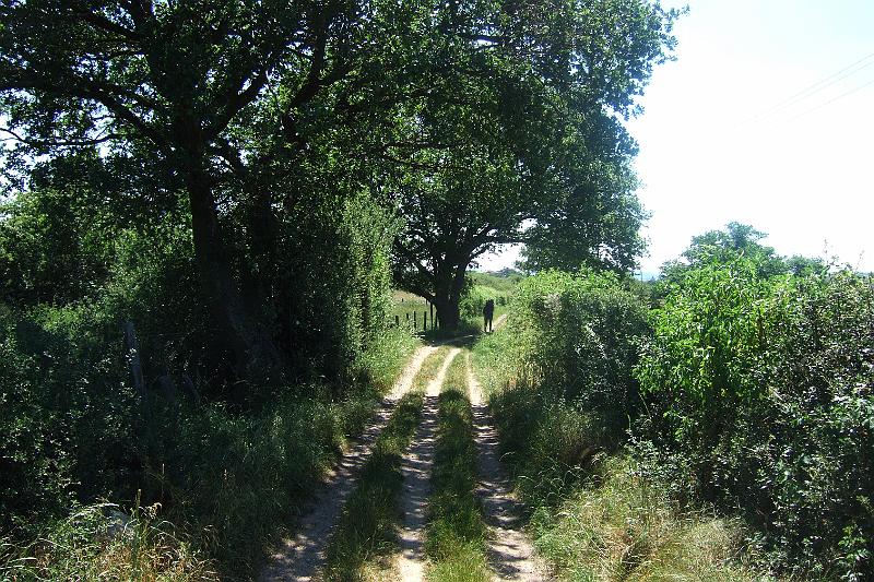 2011-05- (321).JPG